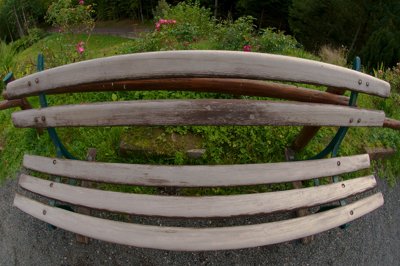 Banc de poisson_5070014427_l.jpg